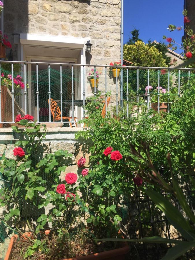 Maison De Vacances - Casa Mezanaccia Avec Terrasse Fleurie Meuble Tourisme 3 Etoiles Santa-Lucia-di-Tallano Екстериор снимка
