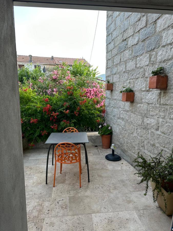 Maison De Vacances - Casa Mezanaccia Avec Terrasse Fleurie Meuble Tourisme 3 Etoiles Santa-Lucia-di-Tallano Екстериор снимка