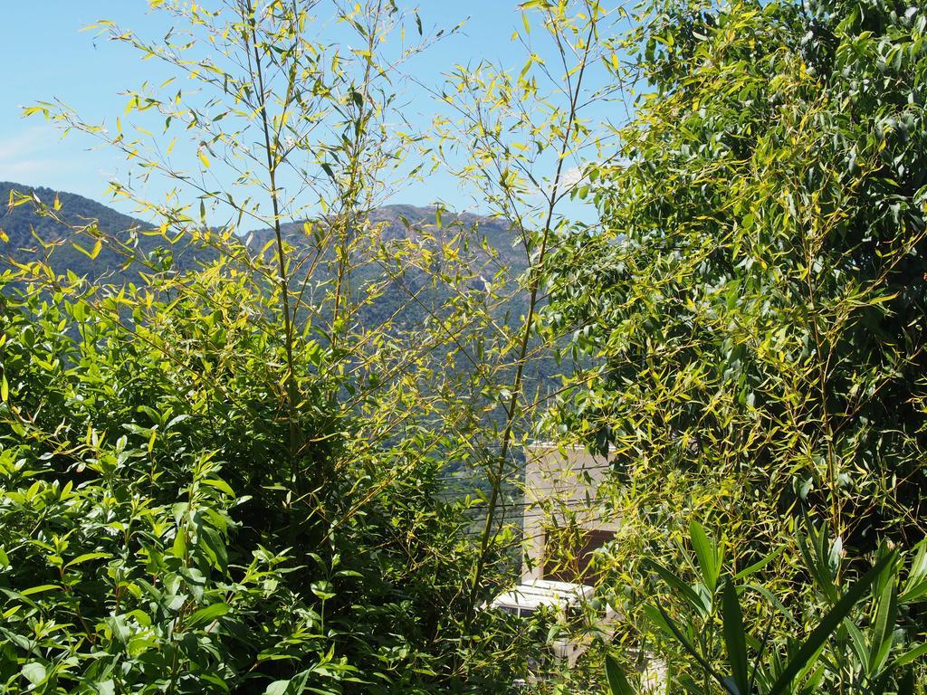 Maison De Vacances - Casa Mezanaccia Avec Terrasse Fleurie Meuble Tourisme 3 Etoiles Santa-Lucia-di-Tallano Екстериор снимка