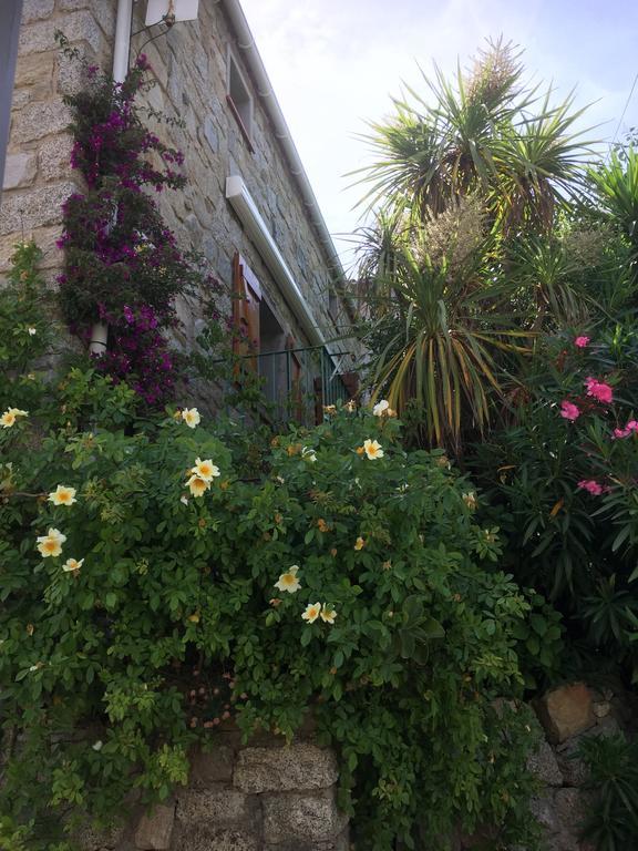 Maison De Vacances - Casa Mezanaccia Avec Terrasse Fleurie Meuble Tourisme 3 Etoiles Santa-Lucia-di-Tallano Стая снимка